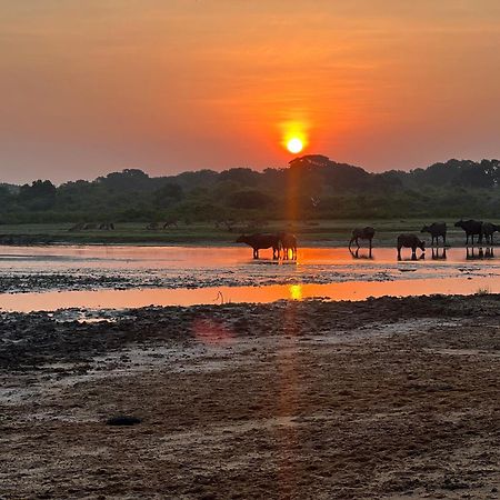 Kingfisher Beach Resort-Yala Kirinda  Exteriér fotografie