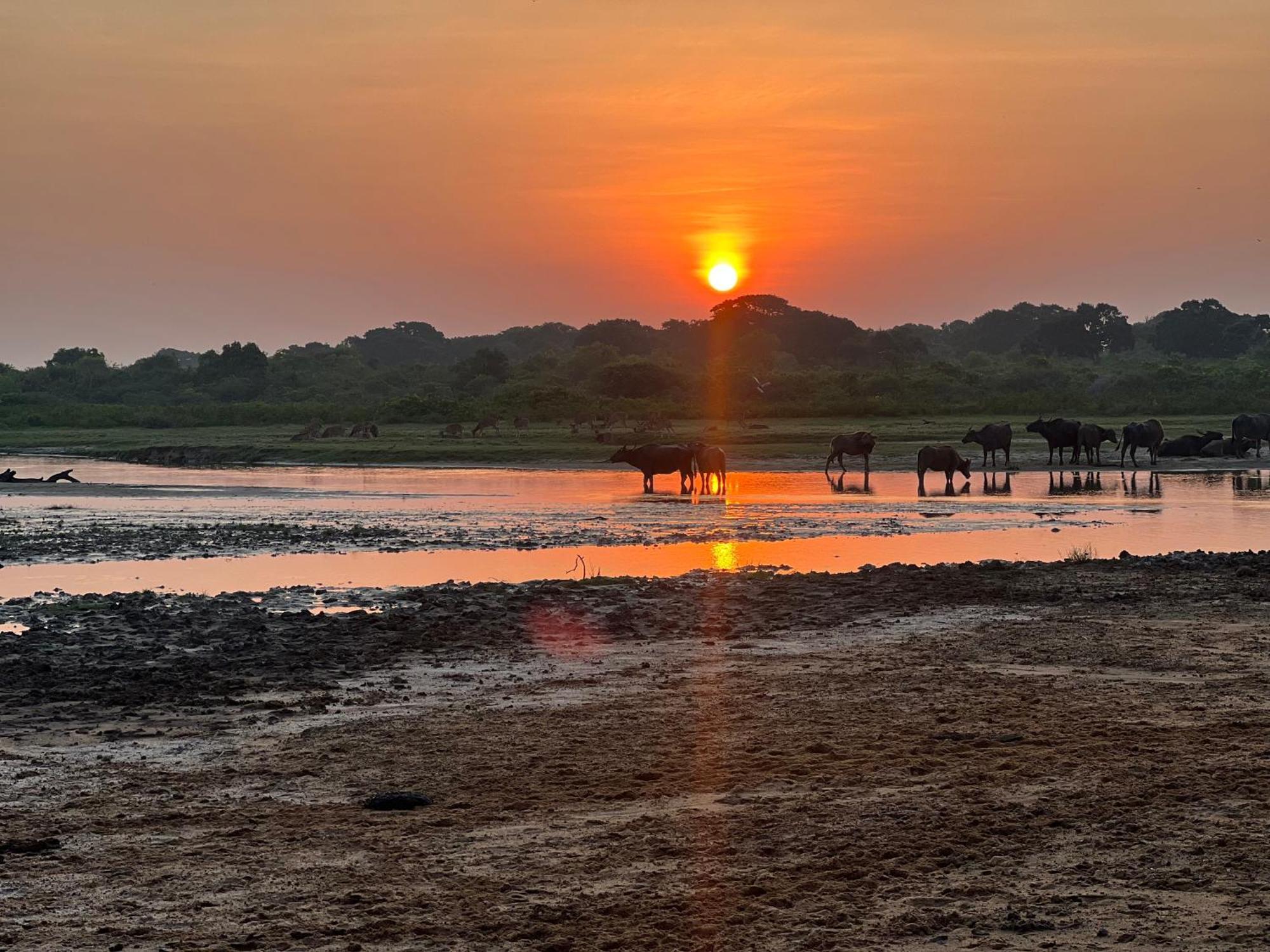 Kingfisher Beach Resort-Yala Kirinda  Exteriér fotografie